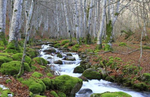 Borgo Antico - Foto 5