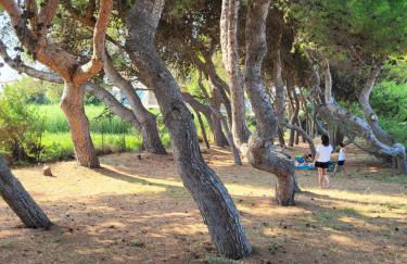 Country House Ciliegia Rossa - Foto 2