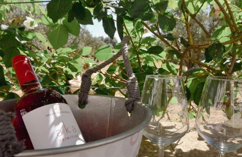 Masseria Giulio - Foto 52