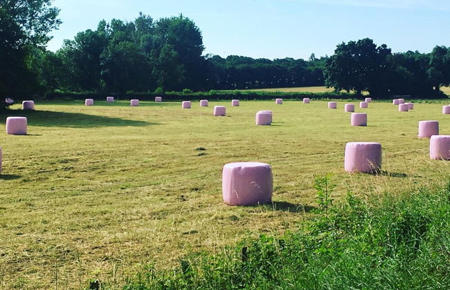 La Maison du Grand Four en Bourgogne, Au coeur de Vignes, Piscine et Sauna - Foto 44