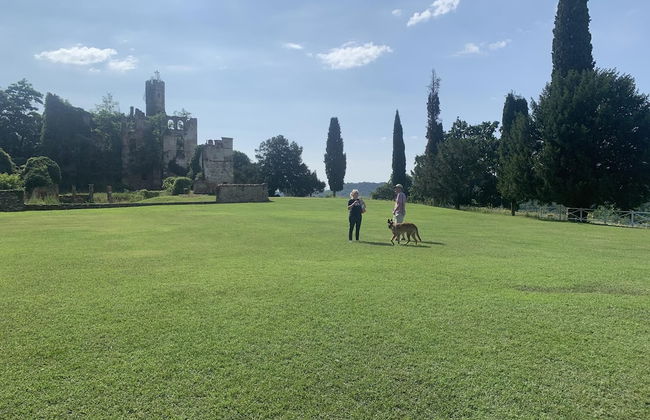 Remarkable 6 Bedrooms Villapiemonte With Land - Foto 17