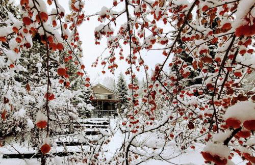 Aurora Ridge Retreat 2BR Near UAF - Foto 13