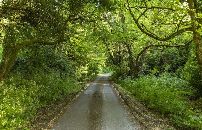 The Old Stables at Moyglare Manor - Foto 30