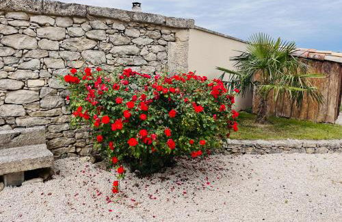 Le Mas de Maellou - Maison de vacances en Drôme Provençale - Foto 37