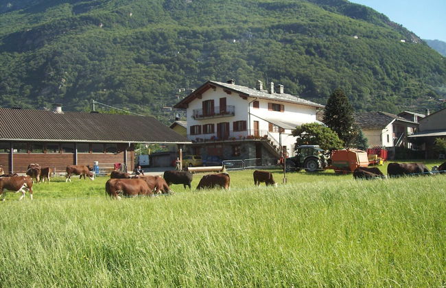 Agriturismo La Grange - Foto 28