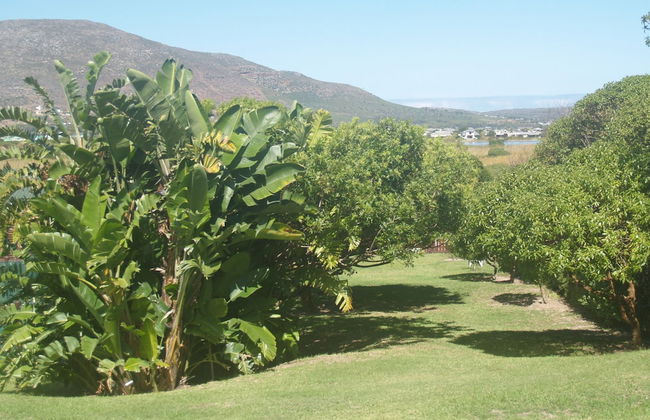 Horizon Cottages - Photo 65