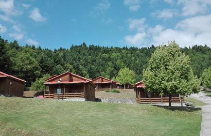 Livadaki Village - Δασικό Χωριό Λιβαδάκι - Foto 43