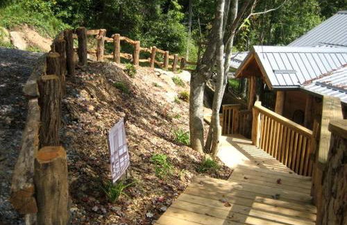 Romantic One-Bedroom Cabin with a Fireplace near Asheville, North Carolina - Foto 6