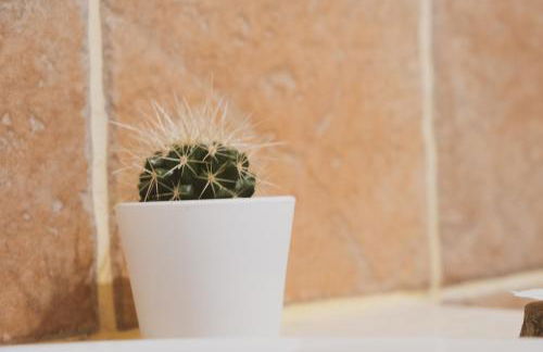 Casa de Pimenteis - Foto 28