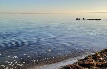 Lütte Höög - Foto 26