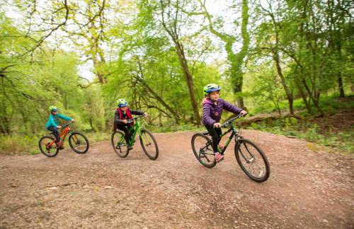 Hilly Haven & Luxury Wagon in the Forest of Dean - Foto 49