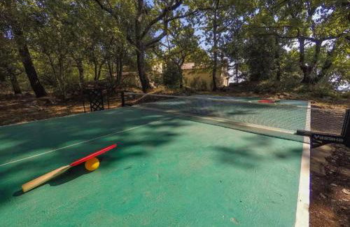 Domaine du Bois d'Amont - Foto 17