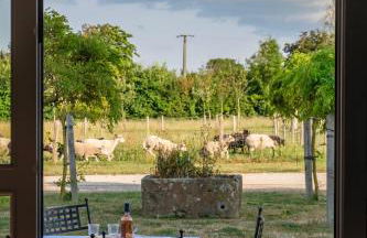 Le Domaine de Ravenoville - Pierres d'Histoire - Foto 48