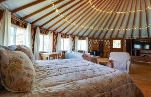 Jumping Juniper Ranch Yurt - Photo 19