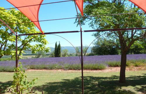 Luberon & Lavandes - Foto 18