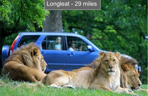 Luxury Container Lodge - Foto 50