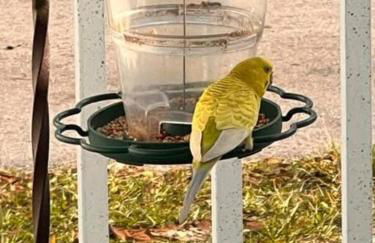 Casita Cafe - Foto 22