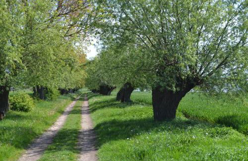 Haus Simone - Photo 6