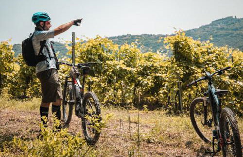 Agriturismo Le Casette Sul Lago - Foto 39