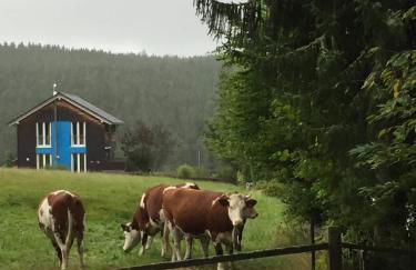 Two apartments in one house - Ferienhaus Matz - Foto 10