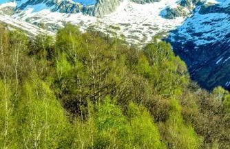 Residenza Christian - Foto 42