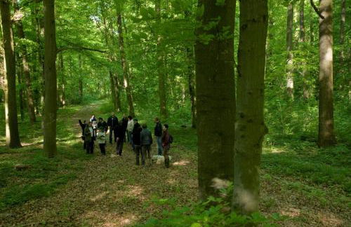 Gutshaus von Bismarck - Foto 8