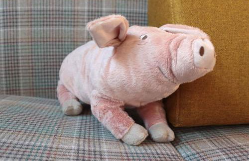 Apartment in St- Johann by Interhome - Photo 12