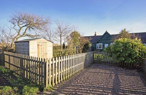 Periwinkle - Foto 23