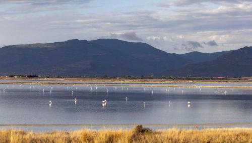 Loucas Home Kalloni Lesvos Central Stay w Balcony - Foto 4