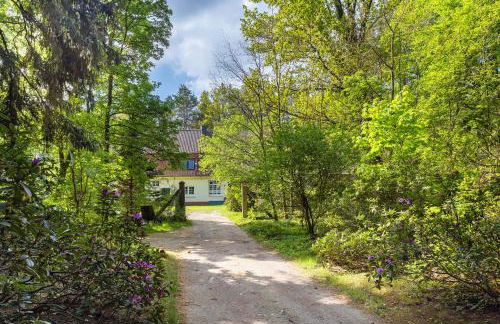 Grosszügiges Ferienhaus mit Wald - Foto 24