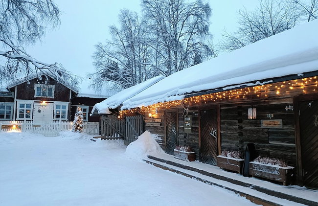 LAURI Historical Log House Manor - Foto 48