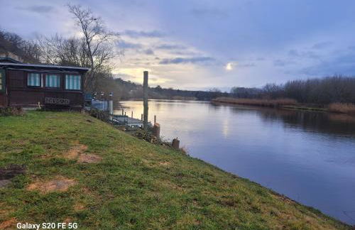 Silvanos biergarten - Foto 6