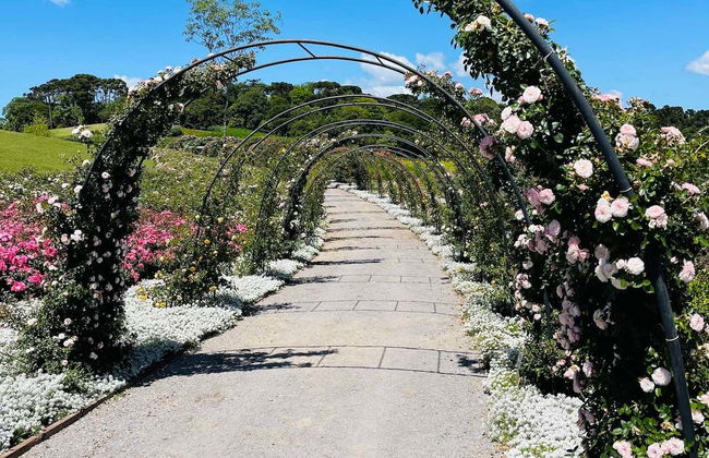 Sao Francisco de Paula Day Trip - Photo 2