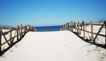 Stilove Wydmy - Foto 2