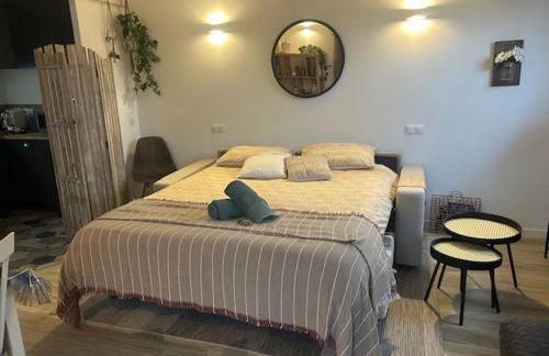 LA BRINDILLE Petit mas provencal meublé de tourisme 3 étoiles 2-3 personnes 1 piece 30 m2 tout confort lisière foret jardin Jacuzzi Piscine - Foto 4