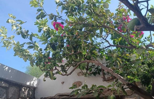 Latmos 1860 - Photo 65