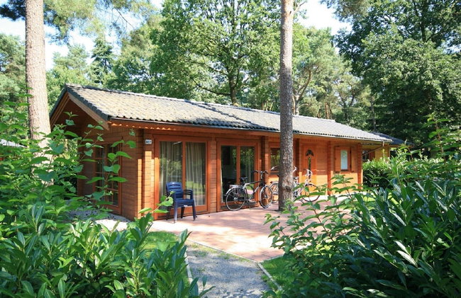 Wooden Chalet Located in the Achterhoek - Foto 23
