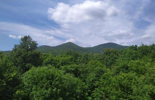 Apartment Vanda - Foto 14