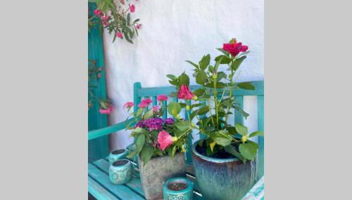 Casa Alegria II - Foto 5