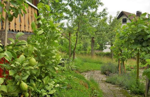 Ferienwohnung, Bernau - Foto 19