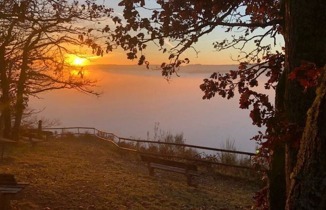 Holiday Apartment Falkenlay - Foto 15