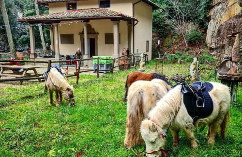 Agriturismo Fattoria Di Maiano - Foto 38