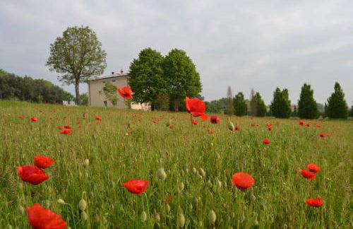 Agriturismo Olistico Atman - Foto 77