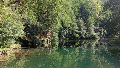 Gibaja Apartment - Foto 5