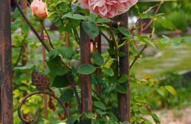 Erholung im Main-Tauber-Kreis - Foto 27