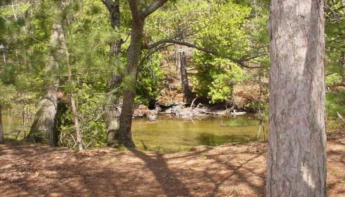 Wilderness 36 - Foto 2