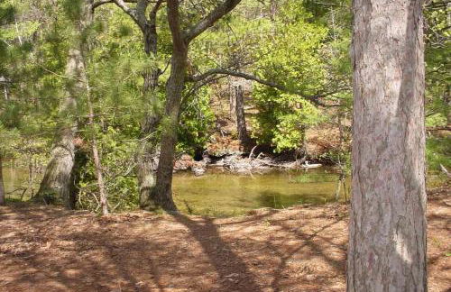 Wilderness 36 - Foto 2