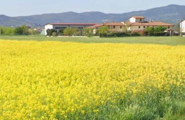 Fienile Paradiso Home Tuscany - Foto 9