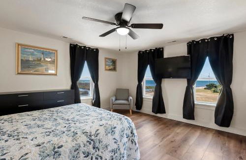 White Heron - Foto 18