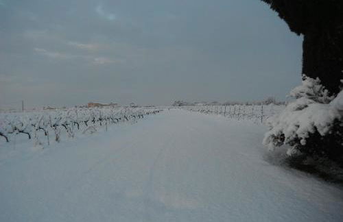 Le Temps d'un Rêve - Foto 48